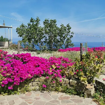 Апартаменты Miramare In Collina