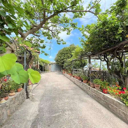 Miramare In Collina *